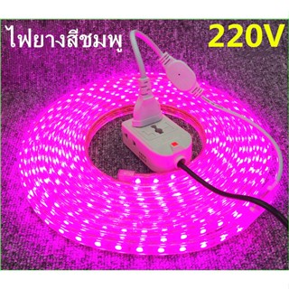 หลอดไฟ เมตรละ ตกแต่งกลางแจ้งได้กันน้ำ ทนทานต่อแดดLED strip light 220Vไฟเส้นไฟแถบตกแต่งบ้าน ตกแต่งรถ ตกแต่งบรรยากาศร