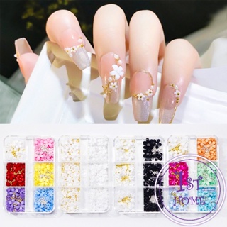 DIY 3D ลูกปัดโลหะ รูปกลีบดอกไม้ 6 ช่อง คละสี สําหรับตกแต่งเล็บ Nail Kits