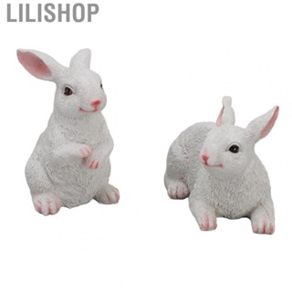 Lilishop Rabbit Ornaments  Art Craft Lifelike Resin Durable Rabbit Statue  for Garden