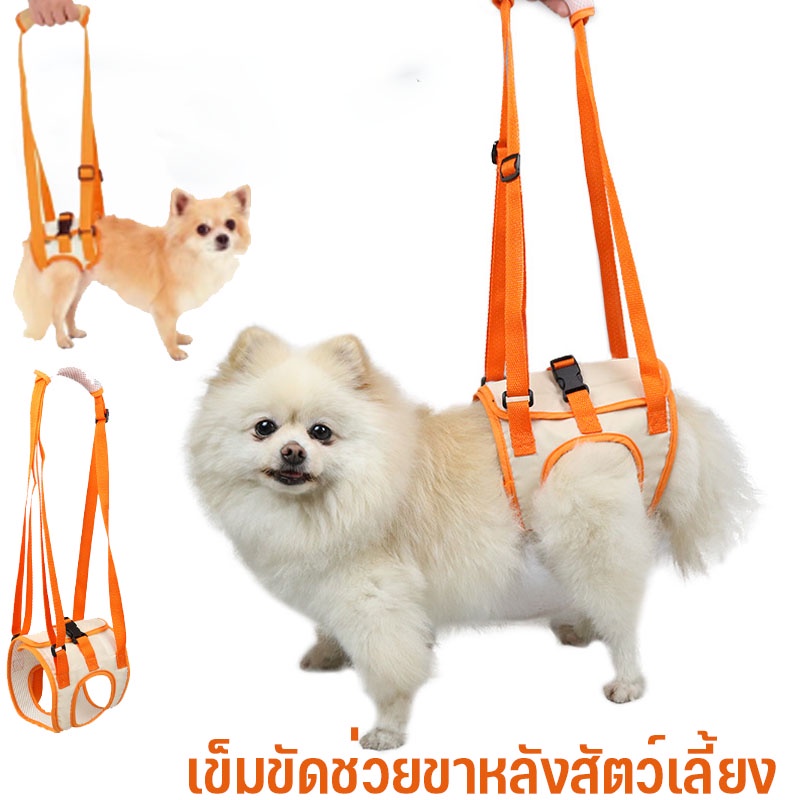 พร้อมส่ง เข็มขัดช่วยขาหลังสัตว์เลี้ยง ผ้าพยุงสุนัข ระบายอากาศดี พยุงหลัง 4 รุ่น ใส่ได้นาน