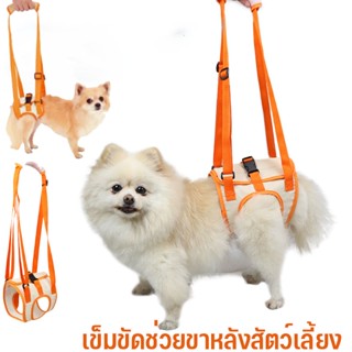 🐶พร้อมส่ง🐱เข็มขัดช่วยขาหลังสัตว์เลี้ยง ผ้าพยุงสุนัข ระบายอากาศดี พยุงหลัง 4 รุ่น  ใส่ได้นาน