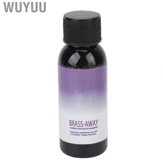 Wuyuu Gray Hair   Fading Color Safe for Home Beauty Salon