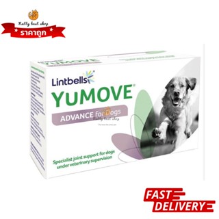 Lintbell Yumove advance 360 for Dog 60 เม็ด บำรุงข้อสุนัข exp2/2025