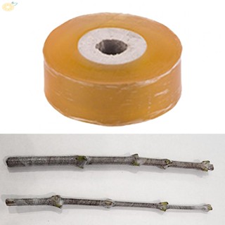 【VARSTR】Premium Quality Plastic Wrap Grafting Tape Affordable and Long lasting