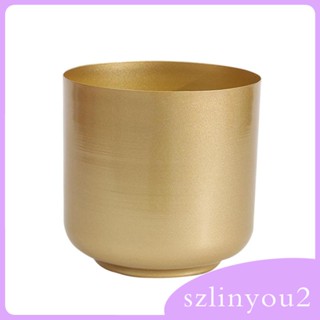 [szlinyou2] กระถางต้นไม้เหล็ก สไตล์โมเดิร์น สีทอง พร้อมช่องระบายน้ํา