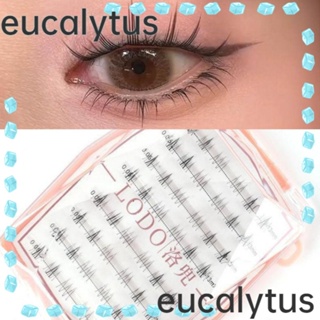 Eucalytus1 ขนตาปลอมแฮนด์เมด ยาว โปร่งใส ดูเป็นธรรมชาติ สําหรับผู้หญิง