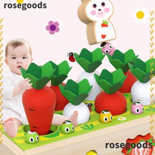 Rosegoods1 เกมจับคู่ เสริมการเรียนรู้เด็ก