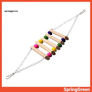 (SPRINGGREEN) ของเล่นบันไดไม้ สําหรับนกแก้ว นกแก้ว นกแก้ว