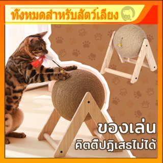 🔥พร้อมส่ง🔥ของเล่นแมว ที่ฝนเล็บแมว ลูกบอล คอนโดแมว ที่ฝนเล็บแ…