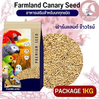 Canary Farmland ข้าวไรย์ เกรดพรีเมี่ยมไร้ฝุ่น ฟาร์มแลนด์ แบบแพ็คเกจ 1KG