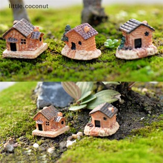 [little.coconut] มะพร้าวจิ๋ว งานฝีมือ สําหรับตกแต่งบ้าน สวน ของขวัญ บูติก 3 ชิ้น