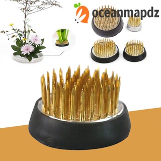 Oceanmapdz Ikebana เครื่องมือเข็มจัดดอกไม้ ทรงกลม สําหรับงานศิลปะ Kenzan