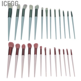 Icegg Makeup Brush Set Portable Eyeshadow Complete Fluffy Delicate for Party Girls