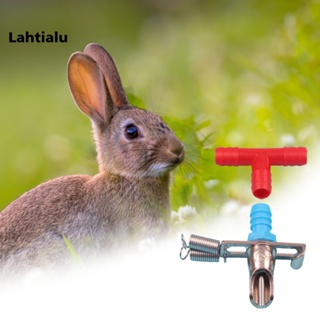 Lahtialu เครื่องจ่ายน้ําดื่มอัตโนมัติ แบบสปริงคู่ สําหรับสัตว์เลี้ยง กระต่าย 5 ชุด