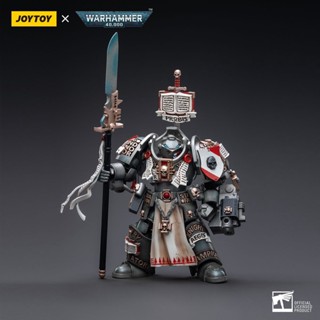 [พร้อมส่ง] Joytoy โมเดลฟิกเกอร์ รูปนักรบอัศวิน JOYTOY Dark Source Warhammer 40K ขยับได้ สีเทา