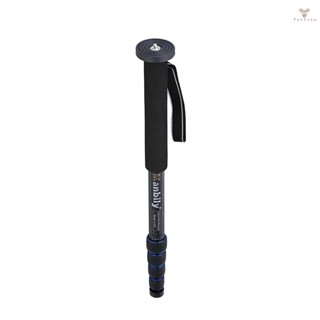 Fw 5-Section Telescopic Carbon Fiber Lightweight Photography DSLR Camera Monopod Unipod Walking Stick for   Pentax Olympus Elders