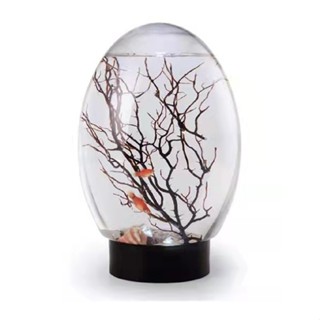 Mini Small Desktop Aquarium Innovative Ecological Plastic Fish Tank