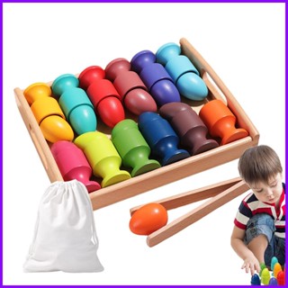 Montessori ถ้วยไข่ ของเล่นเสริมการเรียนรู้เด็ก