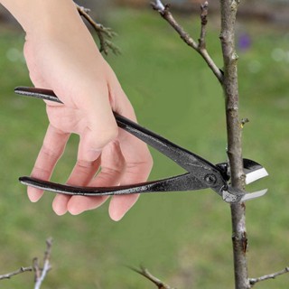 My Green Garden 205mm Professional Branch Cutter Beginner Bonsai Tools ขอบโลหะผสมสังกะสี