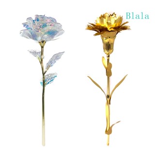 Blala Gold ฟอยล์กุหลาบ พร้อมฝาครอบแก้ว ทนทาน สําหรับผู้หญิง