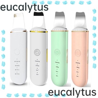 Eucalytus1 เครื่องขัดผิว อุปกรณ์ความงาม แบบพกพา กําจัดสิว ผู้หญิง เครื่องนวดสั่นสะเทือน