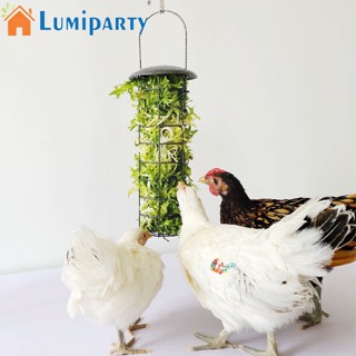 Lumiparty ตะกร้าให้อาหารไก่ ผัก ผลไม้ ของเล่นบรรเทาความเครียด สําหรับให้อาหารนกพิราบ ไก่