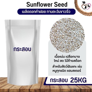 ทานตะวันขาวจิ๋ว ดอกคำฝอย SaffSunFlower อาหารนก กระต่าย หนู กระต่าย กระรอก ชูก้า และสัตว์ฟันแทะ (กระสอบ 25KG)