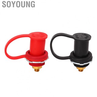 Soyoung Car  Terminal Connector  Stable 250A  Terminal Connector  for Boat