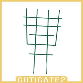 [Cuticate2] โครงไม้เลื้อย ขนาดเล็ก สําหรับกระถางดอกไม้ ในร่ม DIY