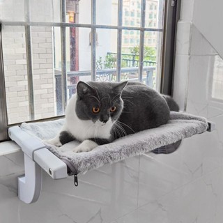 Hanged Cat bed ที่นอนแมวแบบแขวน แบบเกาะ เบาะนอนแมว เปลแมวแบบแขวนขอบเตียง บ้านแมว เปลสัตว์เลี้ยง รุ่นใหม่ล่าสุด