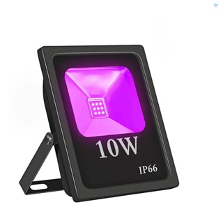 Hgt โคมไฟ LED 10W เรืองแสงในที่มืด กันน้ํา IP66 สําหรับตกแต่งสวน ปลูกต้นไม้ กลางแจ้ง