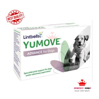 *ของแท้*Lintbell Yumove advance 360 for Dog 60 เม็ด บำรุงข้อสุนัข exp2/2025