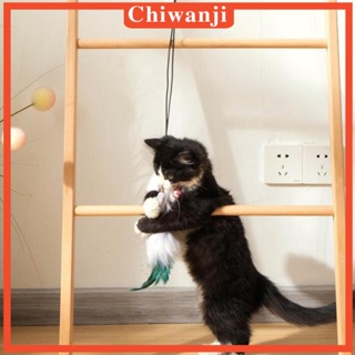 [Chiwanji] ของเล่นตุ๊กตาแมว แบบโต้ตอบ เต้นรําในร่ม สําหรับออกกําลังกาย