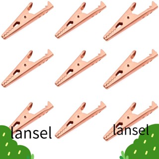 LANSEL แคลมป์หนีบสายโพรบทดสอบไฟฟ้า ทองเหลือง พร้อมปลอกฉนวนกันความร้อน 45 มม. 1.77 นิ้ว สําหรับทดสอบไฟฟ้า 10 ชิ้น