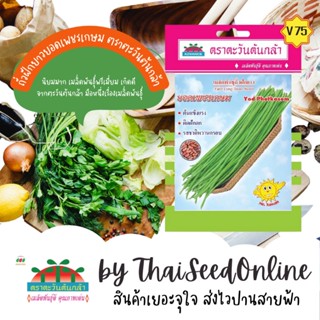 ADV ซฟ เมล็ดพันธุ์ ถั่วฝักยาวยอดเพชรเกษม ตราตะวันต้นกล้า H46