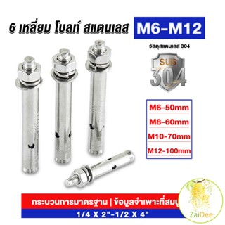 พุกสแตนเลส ขนาด 304 M6 M8 M10 M12 6 หัวเหลี่ยม พุ๊ก สแตนเลส Expansion Bolt