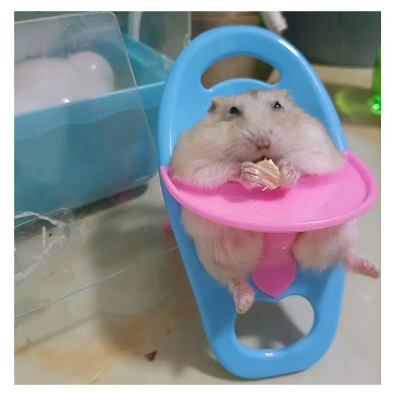 ของเล่นหนูแฮมสเตอร์ หนูแฮมสเตอร์น้อยรถเข็นที่นั่งขนาดเล็กของเล่นสนุกโต๊ะรับประทานอาหารสัตว์เลี้ยง