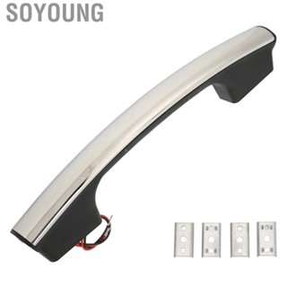 Soyoung Handrail Luminous Surface Mount Blue Lights Grab Handle for Bus for Boat for Yacht