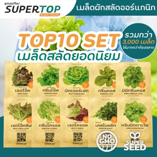 SET TOP10 เมล็ดผักสลัดออร์แกนิกยอดนิยม RAILUNGTOP | เก็บจากฝัก สดจากไร่ลุงท๊อป