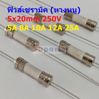 ฟิวส์ หางหนู 2 ขา บัดกรี มีขา เซรามิค Ceramic Fuse 5x20mm 250V 5A 8A 10A 12A 25A #PC5x20-Slow blow (1 ตัว)