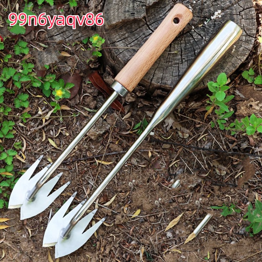 กำจัดวัชพืชราก สแตนเลส เหมาะสำหรับงานกลางแจ้ง ใช้งานง่าย ปรับความสูงได้ เหมาะสำหรับสวนหรือสนามหญ้า