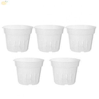 【VARSTR】Orchid Pot Small Medium With Holes 5 Pack Grow Box Large XL Nursery Vegetables