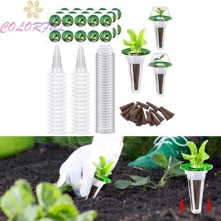 【COLORFUL】Planting Basket Kit Sunshade Stickers Flower Plant Planting Planting Baskets