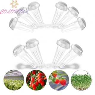 【COLORFUL】Grow Baskets Nursery Cup Plant Grow Pots Net Soilless Seedling Transparent 12PCS