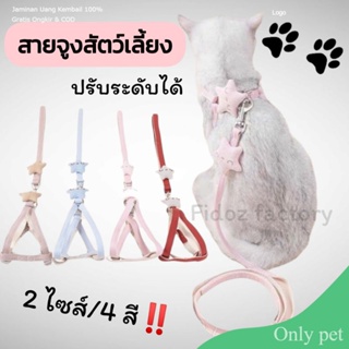 Only pet สายจูงสัตว์เลี้ยง สายจูงหมา สายจูงแมว สายจูงสุนัข รูปดาวน่ารักๆ