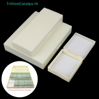 Trillioncatalpa กล่องสไลด์กล้องจุลทรรศน์ พลาสติก 25 50 100 ชิ้น