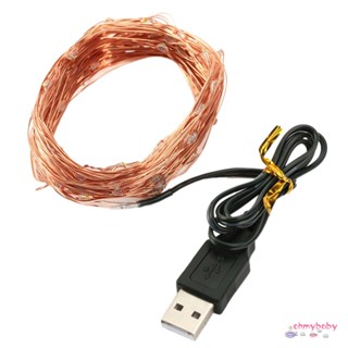 สายไฟทองแดง Led 50 ดวง 5 เมตร พอร์ต Usb สําหรับตกแต่งวันหยุด