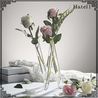 [Hatel] แจกันหลอดทดลอง สําหรับดอกไม้ เตาผิง ห้องนั่งเล่น พิธีขึ้นบ้านใหม่ 3 ชิ้น