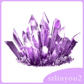 [szlinyou2] คริสตัลปลูกต้นไม้ พร้อมไกด์ผู้ใช้ ทดลองวิทยาศาสตร์ สําหรับเด็ก