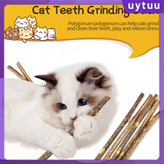 Uytuu 【fast Delievery】 Cat Molar Stick Mu Tianli ทำความสะอาดฟันเพื่อหยอกล้อแมวเพื่อบรรเทาความเบื่อจากอุปกรณ์แมวที่รักษาตัวเองของเล่นขนมแมว